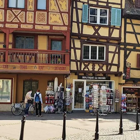 Evasion St Joseph Odysalis - Lit King Size - Parking - Proche Centre Apartmán Colmar