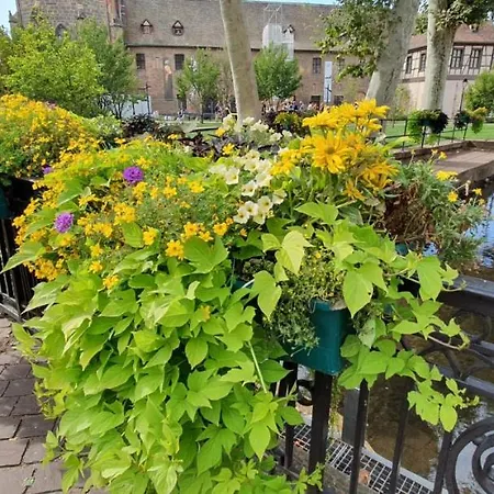 Apartamento Evasion St Joseph Odysalis - Lit King Size - Parking - Proche Centre