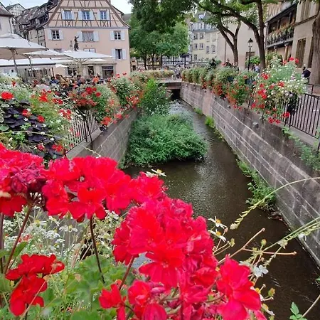 Evasion St Joseph Odysalis - Lit King Size - Parking - Proche Centre Lejlighed Colmar